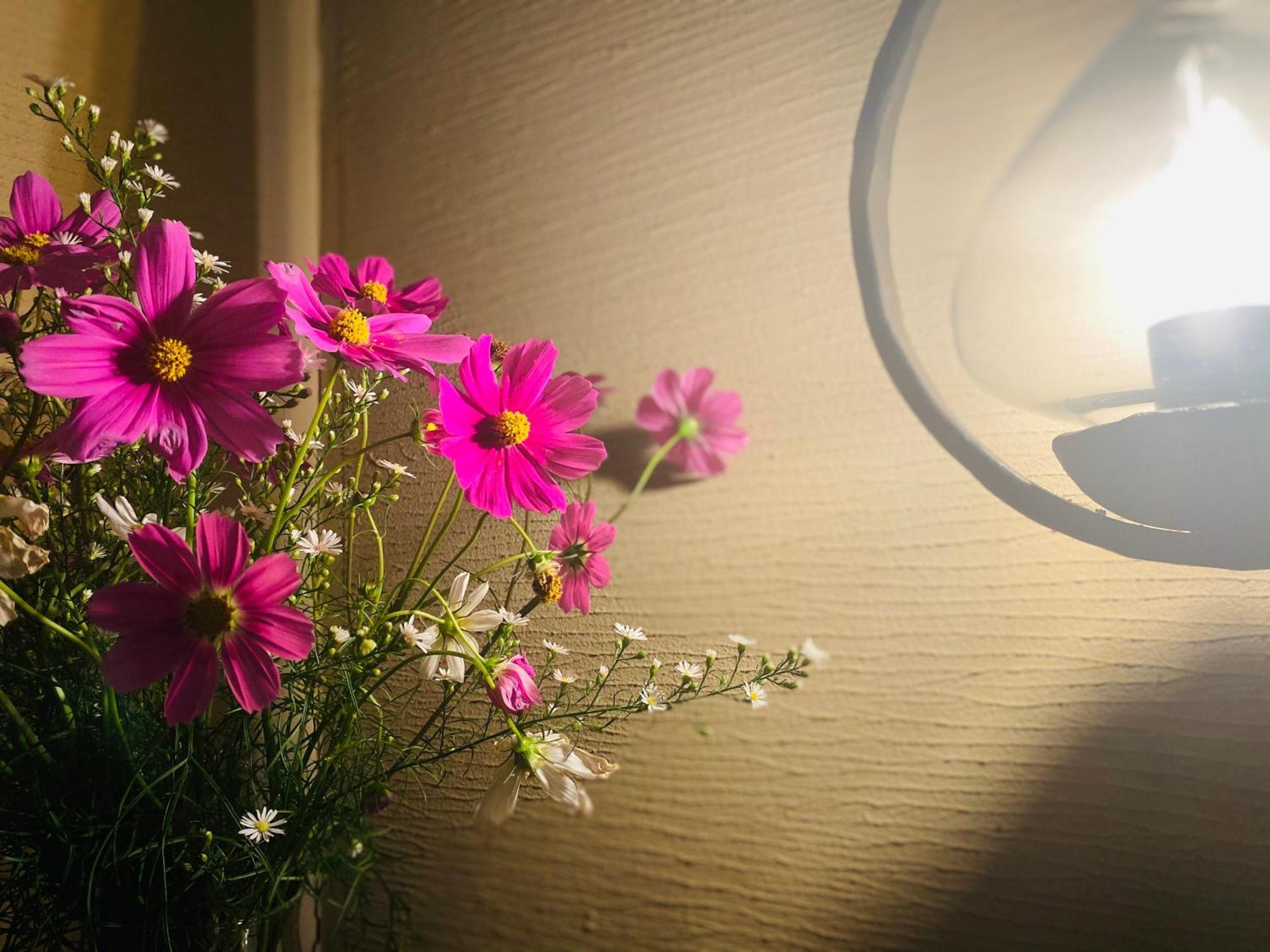 Hotel Wohnen Hakuba Kültér fotó